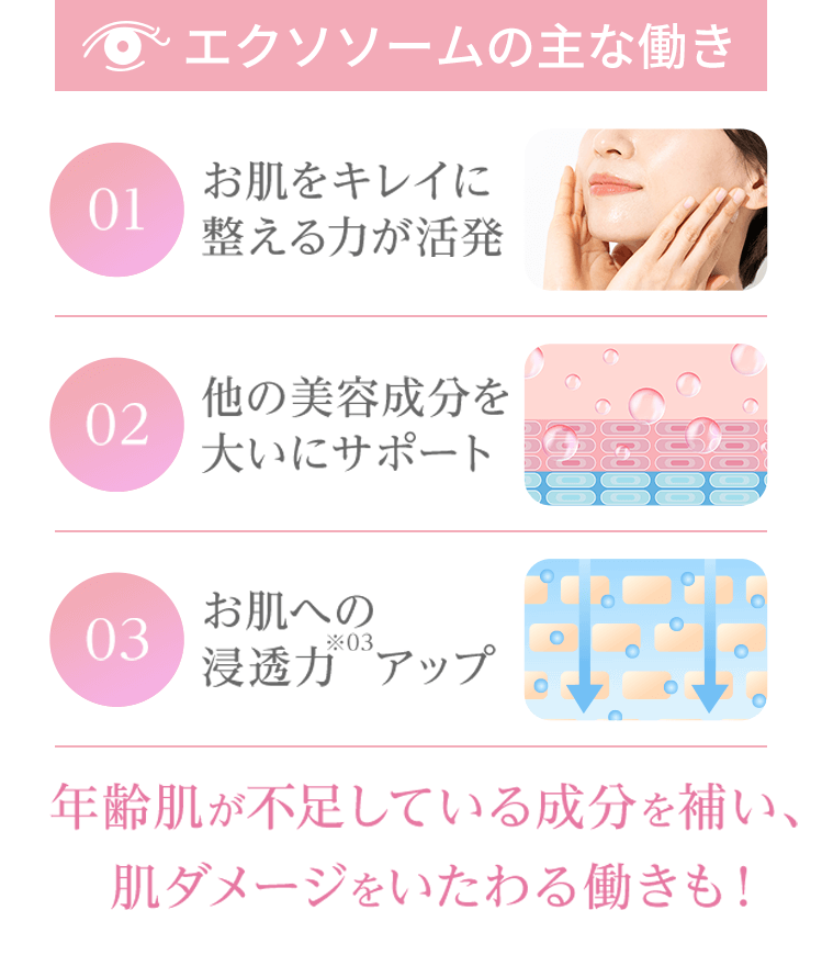 section 5